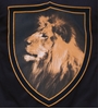Bild von COPA Football - Holland Lion V-Neck T-Shirt - Schwarz