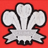 Bild von Wales 1905 Retro Rugby Zipped Kapuzenpullover - Rot
