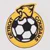 Bild von Detroit Cougars Retro Fußball Trikot Jahre 1960