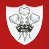 Bild von Rugby Vintage - Wales Polo - Rot