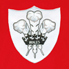 Bild von Rugby Vintage - Wales Polo - Rot/Weiss