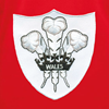 Bild von Rugby Vintage - Wales Retro Rugby Trikot - Rot