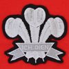 Bild von Wales Retro Rugby Trikot 1905