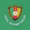 Kameroen Retro Voetbalshirt WK 1982